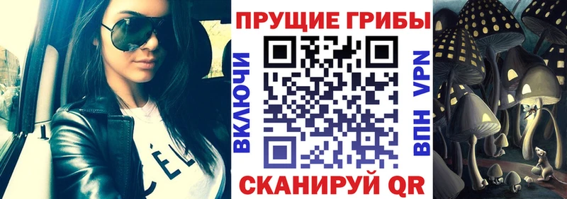 Галлюциногенные грибы Cubensis Прохладный